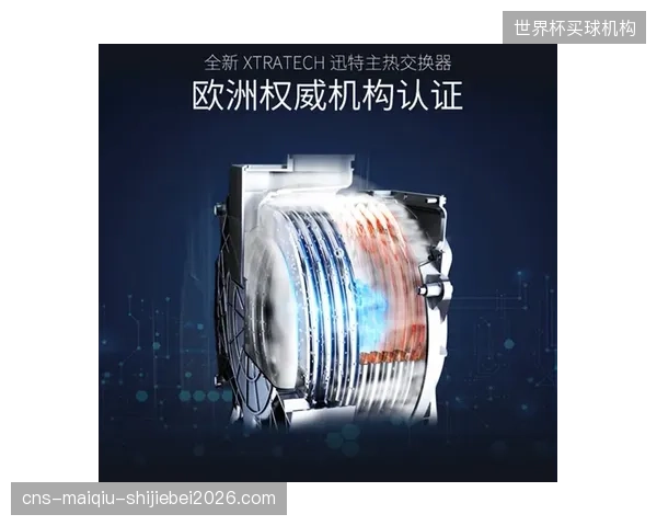 马尔穆什的技术特点和市场价值飙升，他能否在世界杯舞台证明自己身价物有所值。